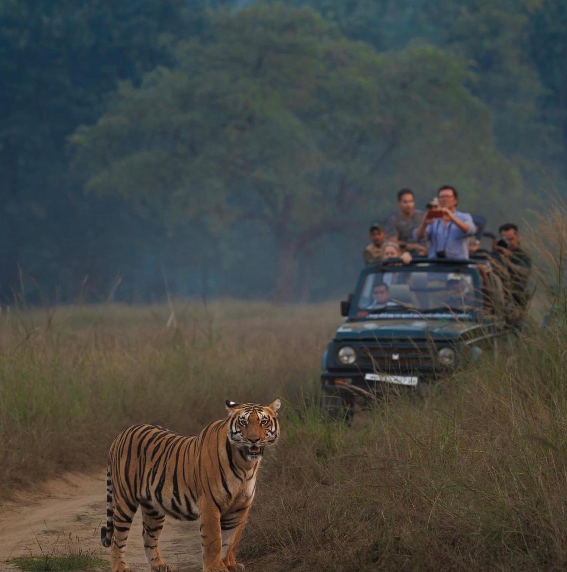 The Deer Meadows Villa Mudumalai Luaran gambar
